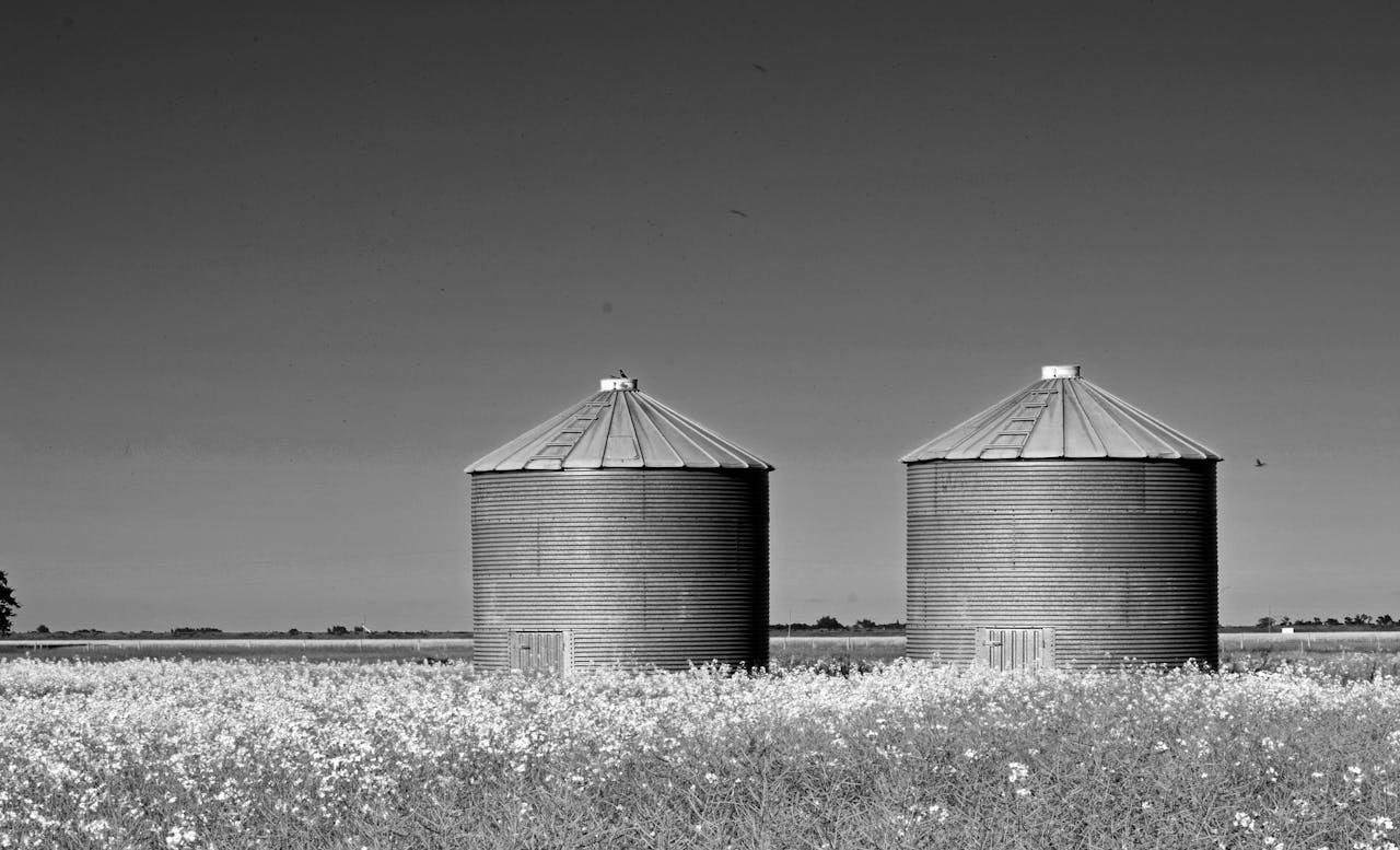 service-01 Black and white image of two grain silos in a rural field near Steinbach, Canada.